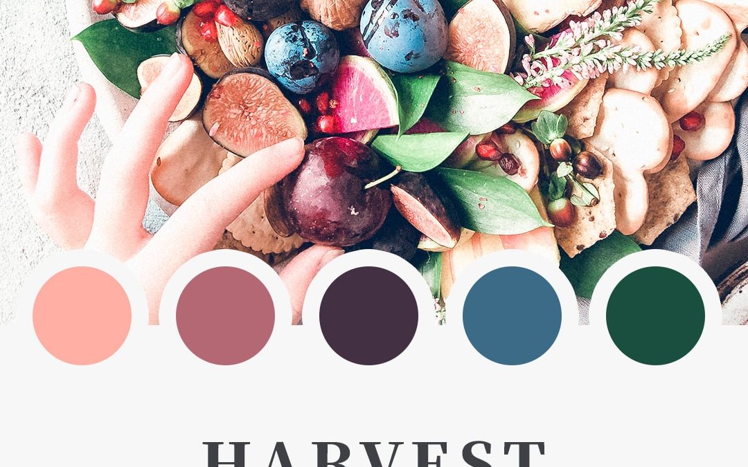 Brand Moodboard: Harvest Time