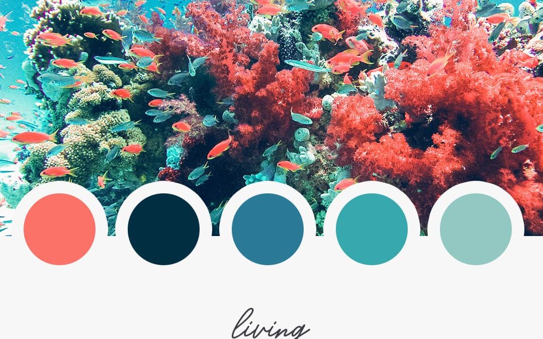 Brand Moodboard: Living Coral
