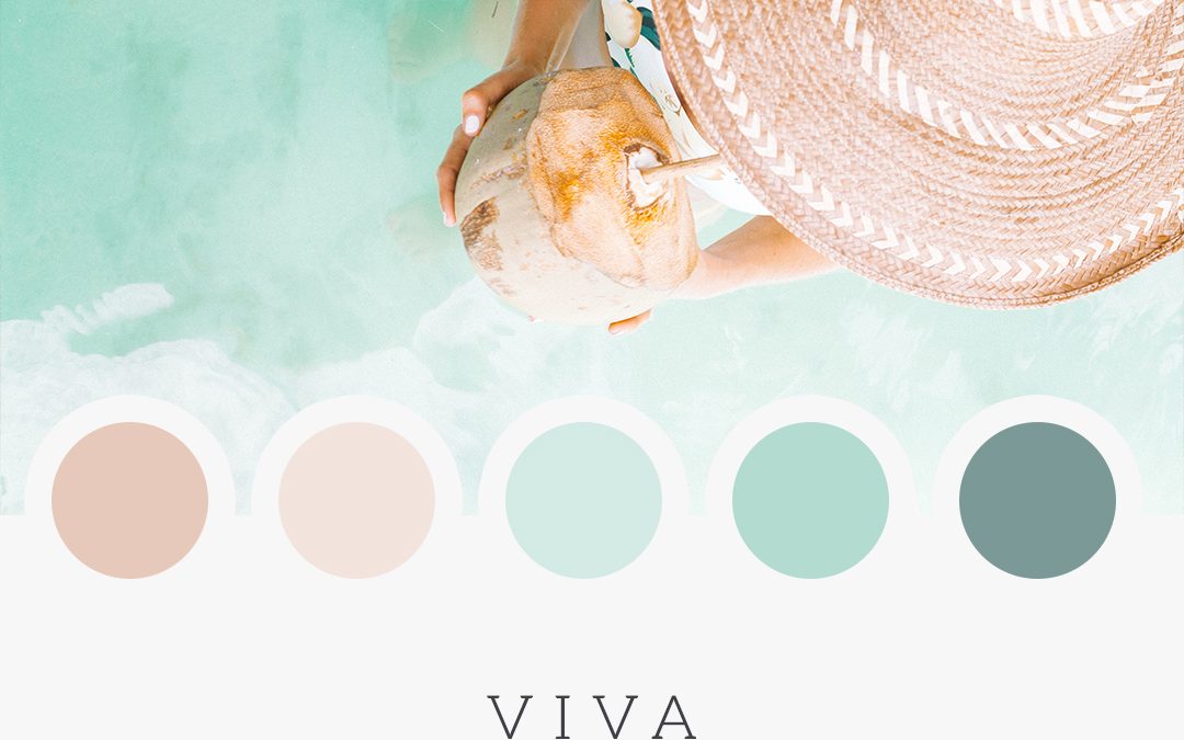 Brand Moodboard: Viva La Vida