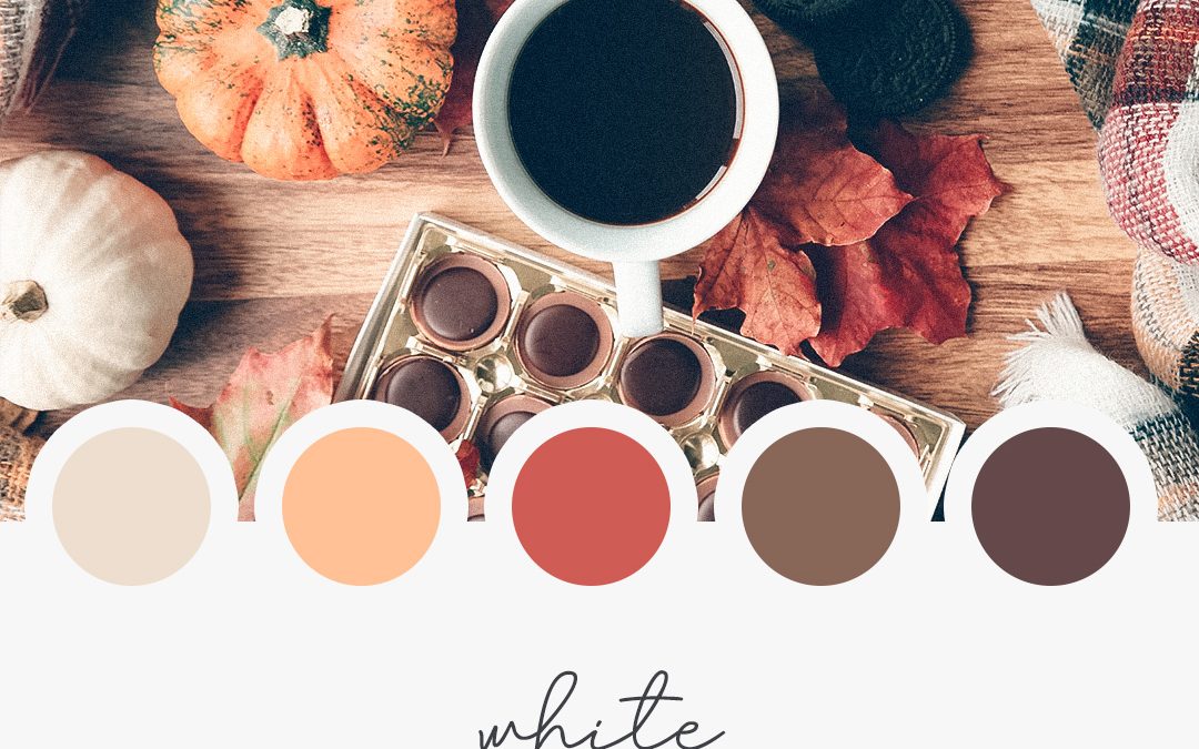 Brand Moodboard: White Pumpkin